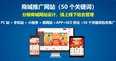 商城網(wǎng)站開發(fā)